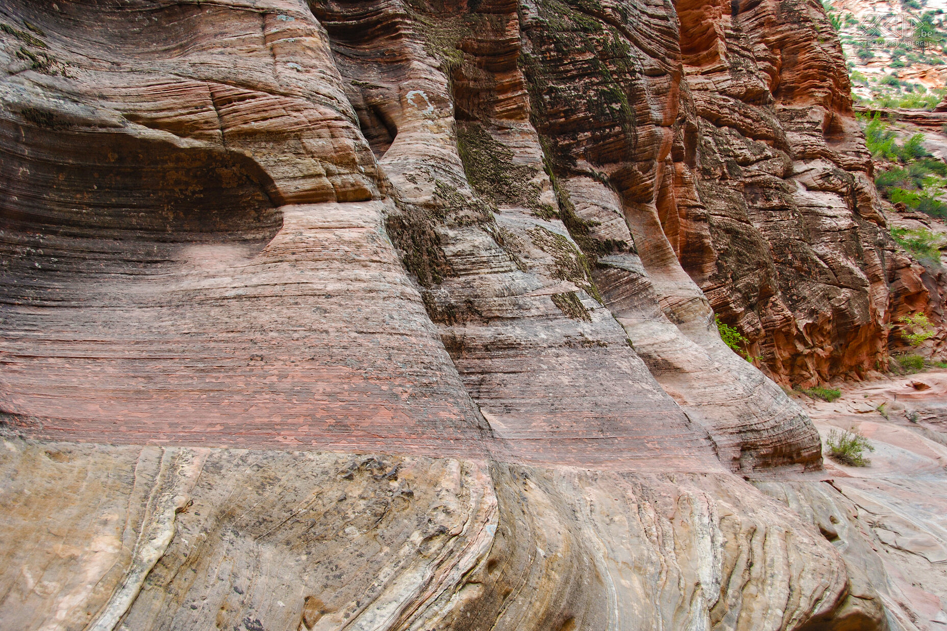 Zion - Observation Point Trail - Echo Canyon De Observation Point Trail is een tocht van 13km. Het eerste stuk gaat doorheen Echo Canyon, een prachtige door het water geërodeerde kloof. Stefan Cruysberghs